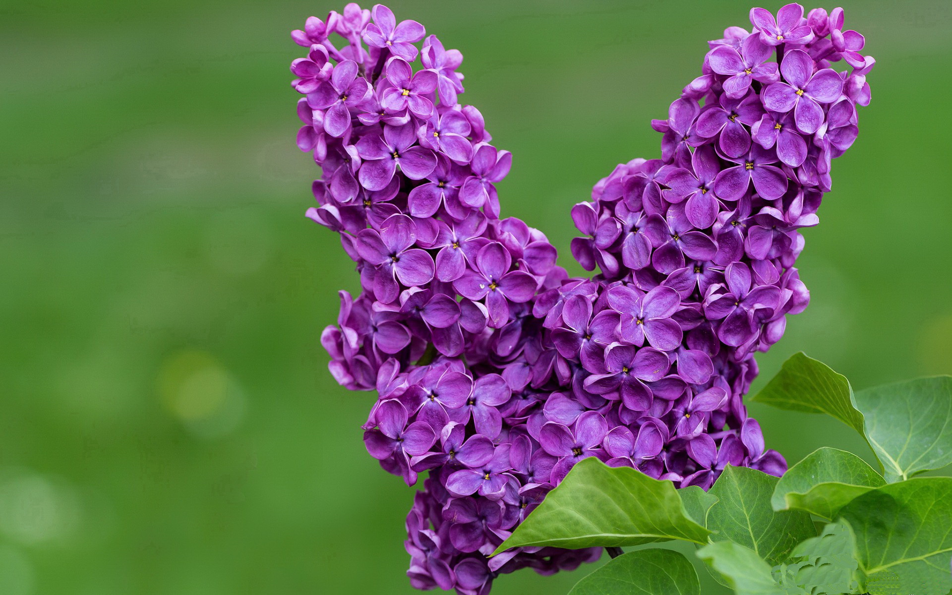 _冬季专属：露天冰雪网球锦标赛别样精彩_，冰上网球