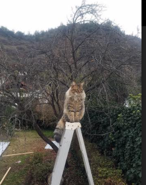 _冬季冰川徒步:勇闯极寒的壮观景象_,旅游冰川