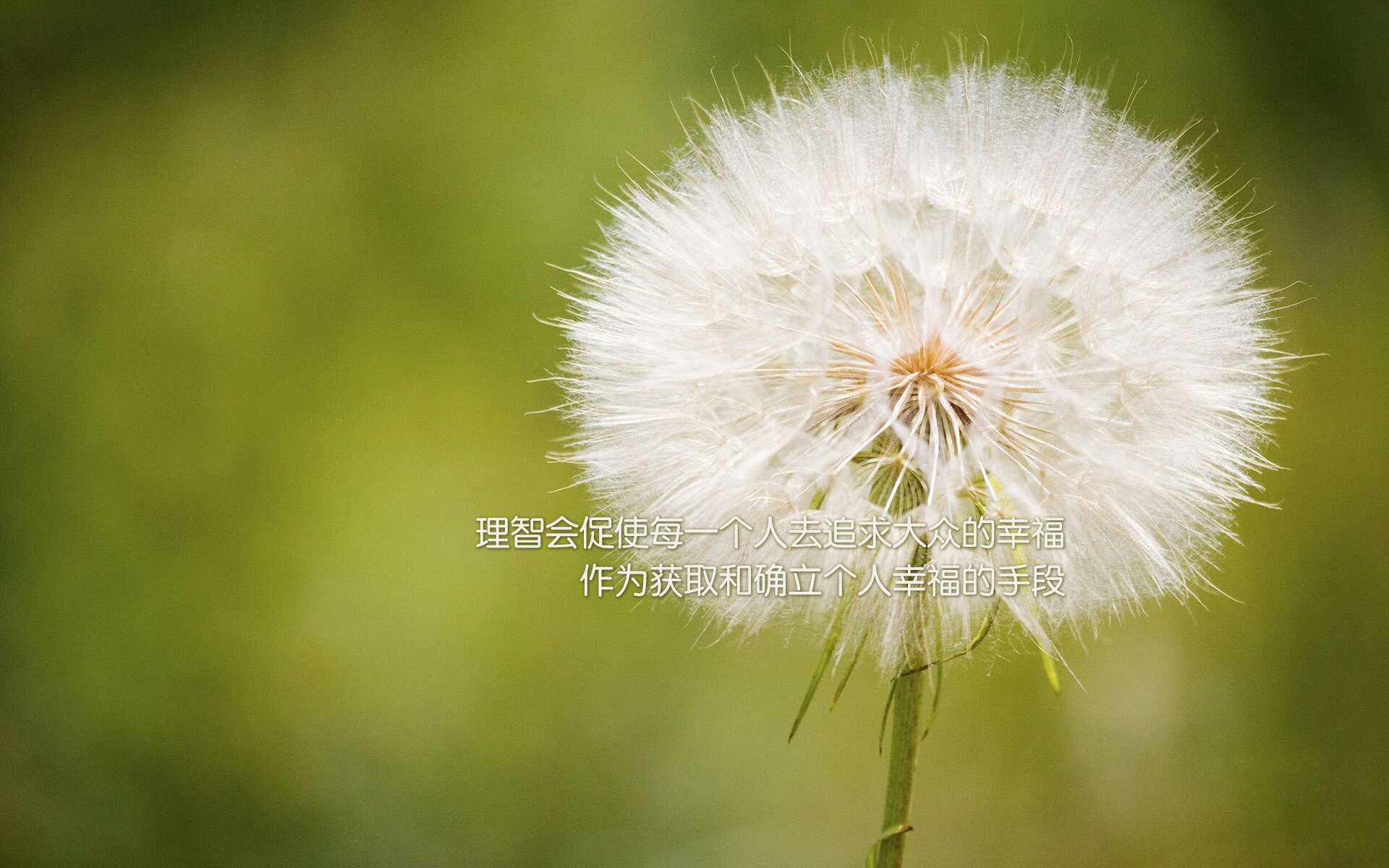 B体育亚洲官方网站-_火箭逐步复苏，季后赛冲刺在即_，火箭队季后赛视频录像回放