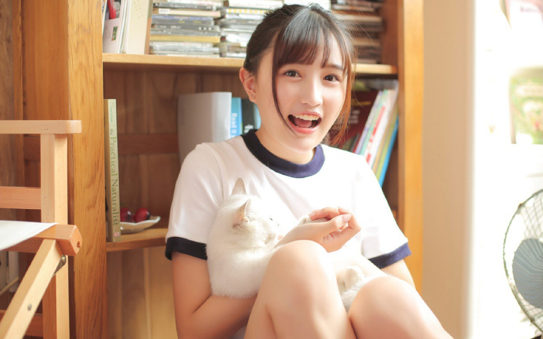 《王者荣耀官方超级联赛,最强战队会师总决赛》,王者荣耀super战队