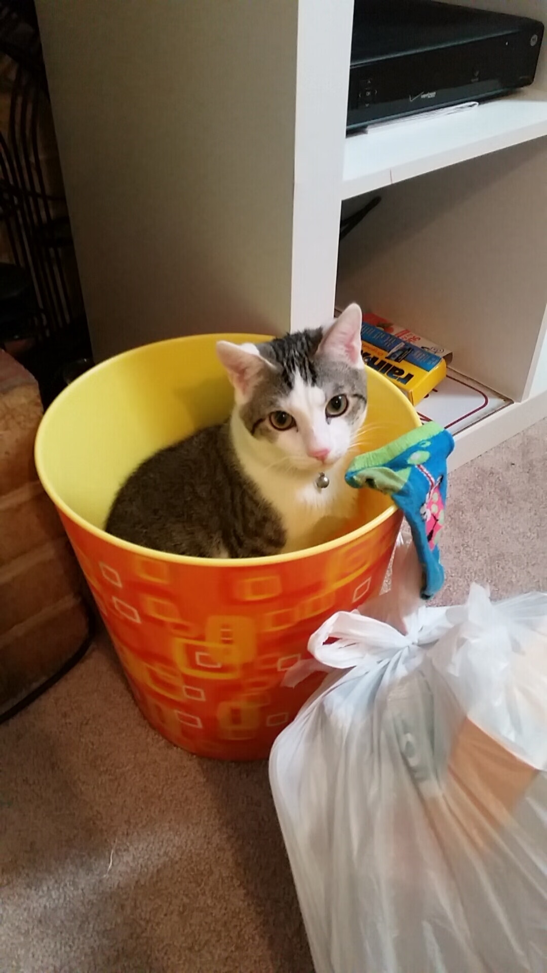 今年NBA场均得分领跑者是哪位明星?,今年nba得分个人排名榜