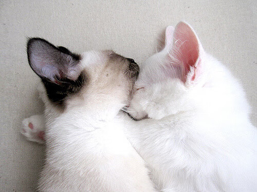 现代极限运动,创新带来新体验,现代极限理论