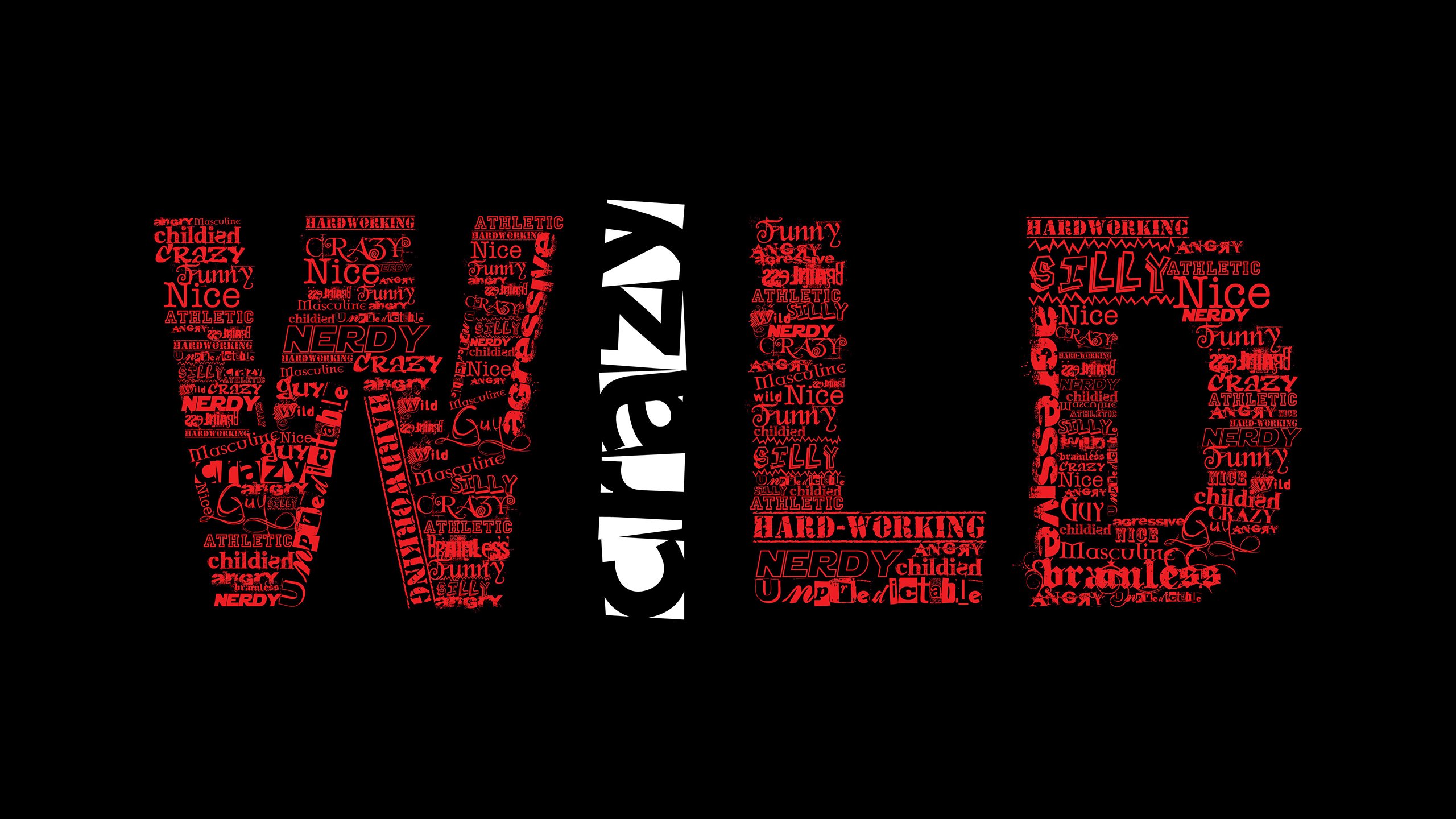 芝加哥天空队夺得2024年WNBA总冠军