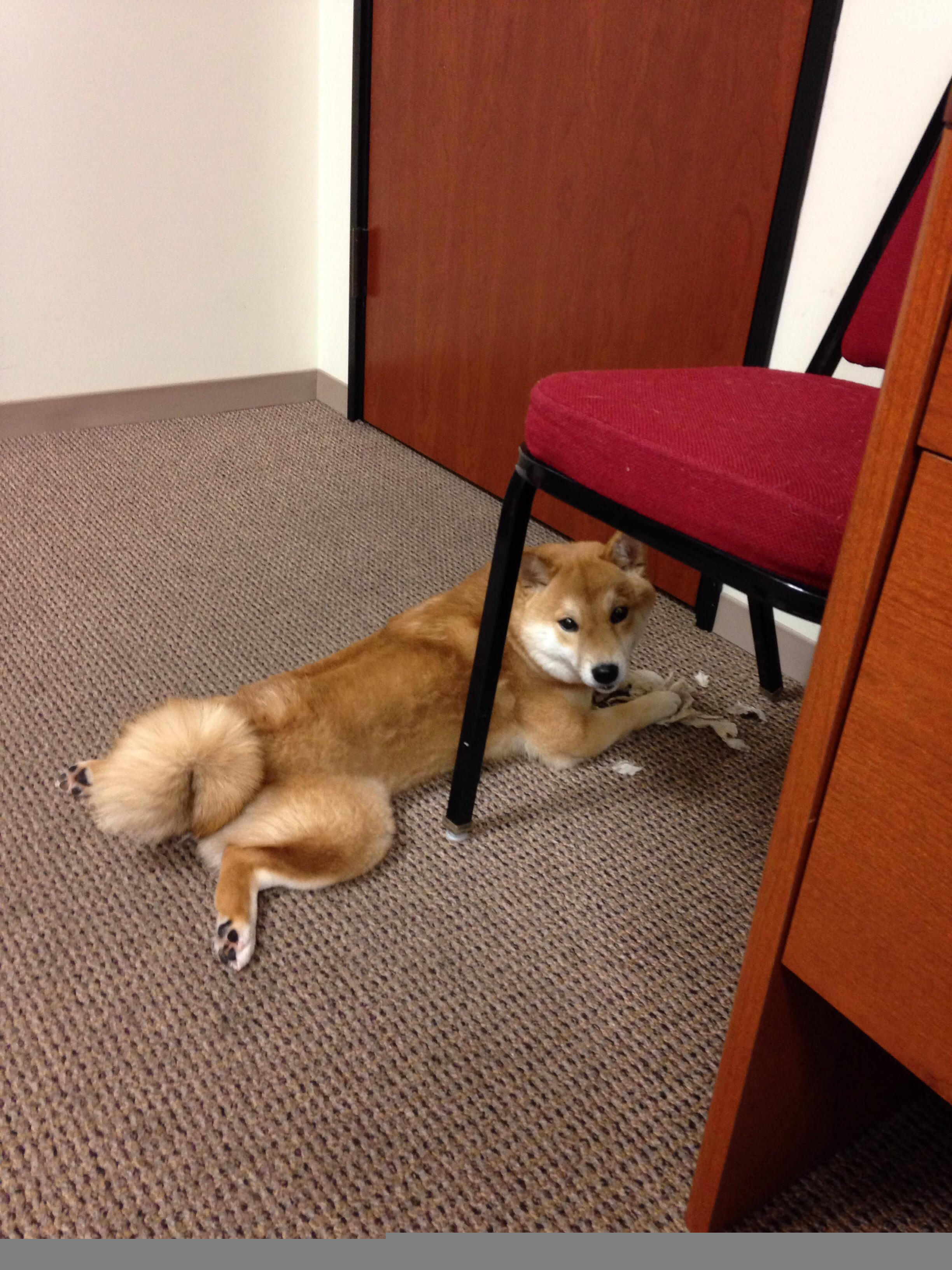 训练营故事:未来顶级球员的成长足迹,nba球星的训练营