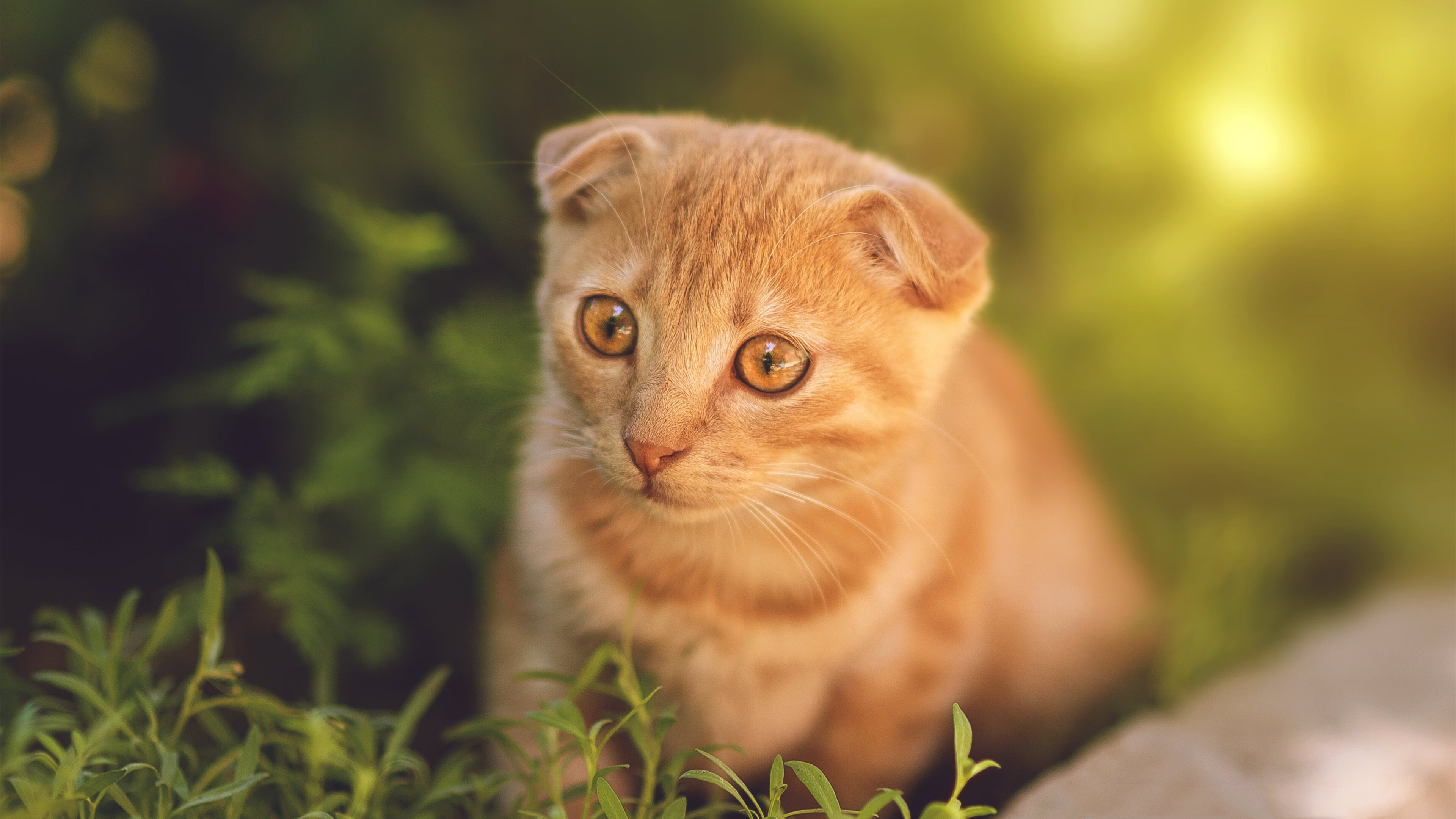 训练课程揭秘：青训营紧跟足球潮流，青训训练营是什么