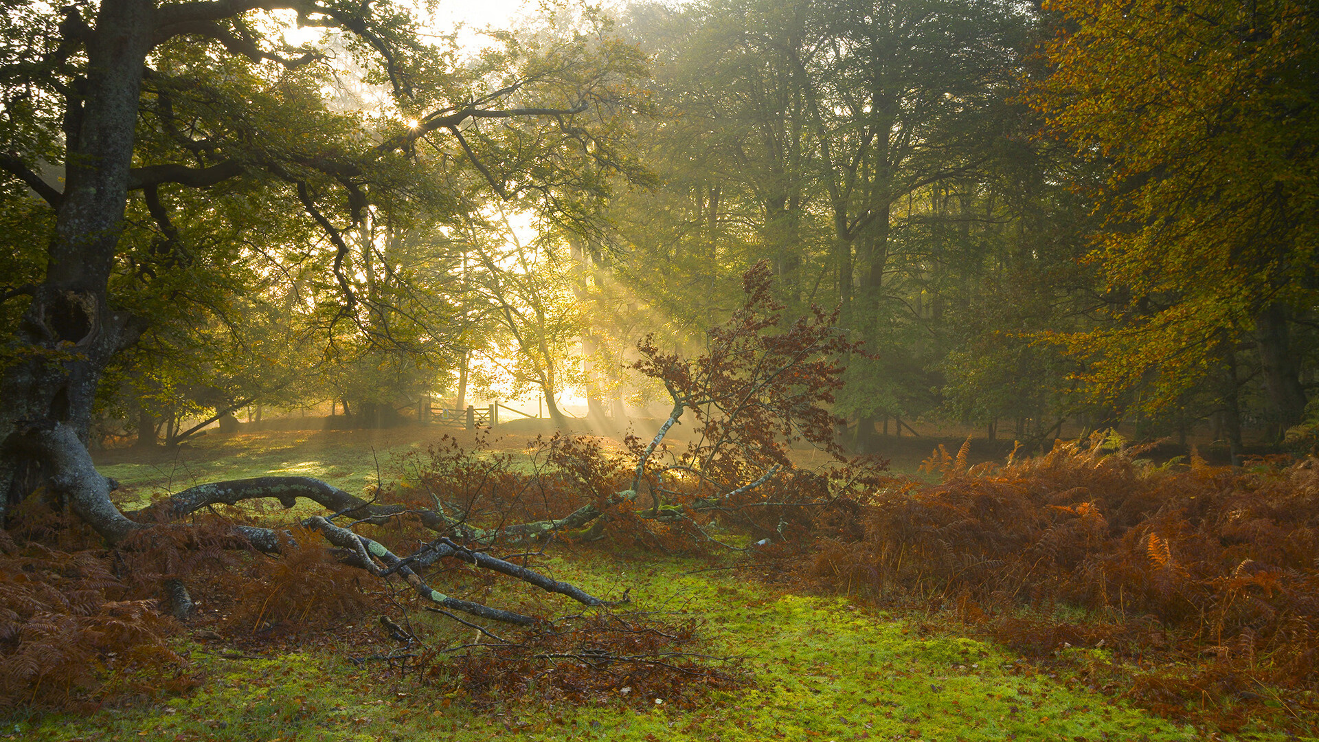 北美选手培养机制再评估，北美赛区叫什么