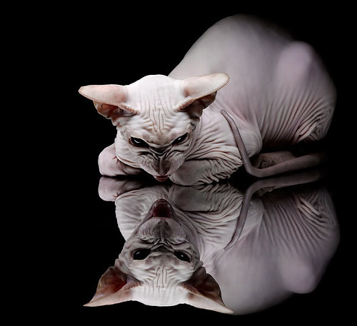 b体育(sports)官方网站-国足选手奋勇拼搏，不畏艰难，国足拼命瞬间