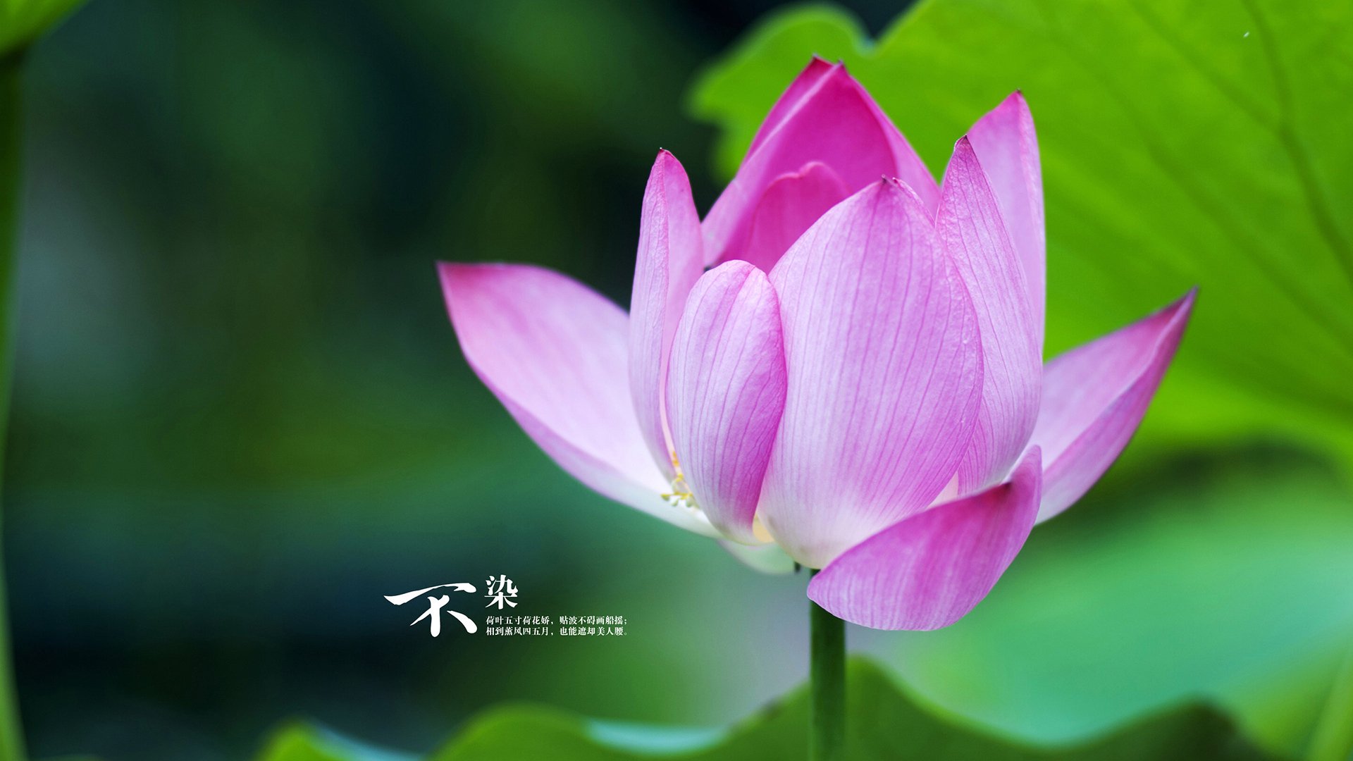 B体育下载-欧洲预选赛中的佳绩：一支弱队突然崛起！，欧洲预选赛踢完了吗_