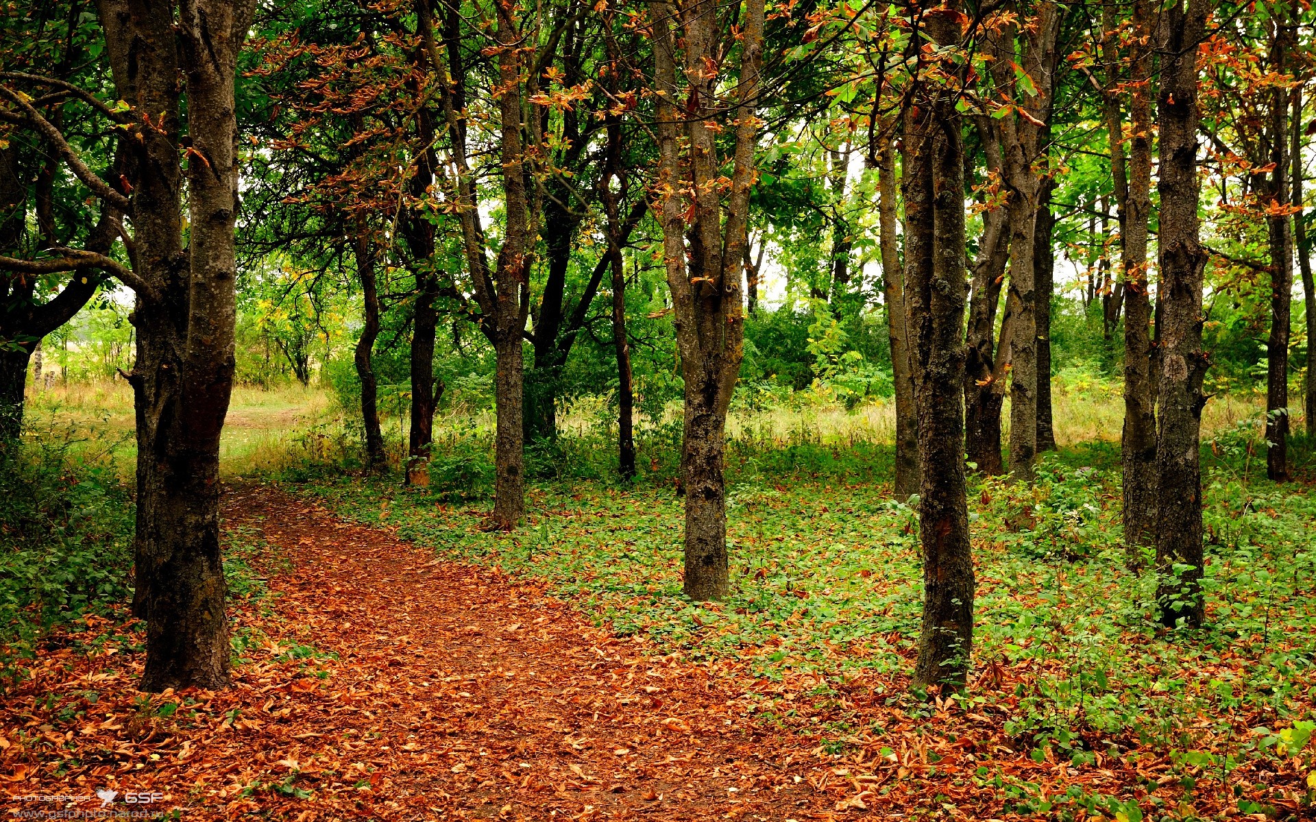 波尔多后卫神勇抢断,助球队客场获胜,波尔多前锋
