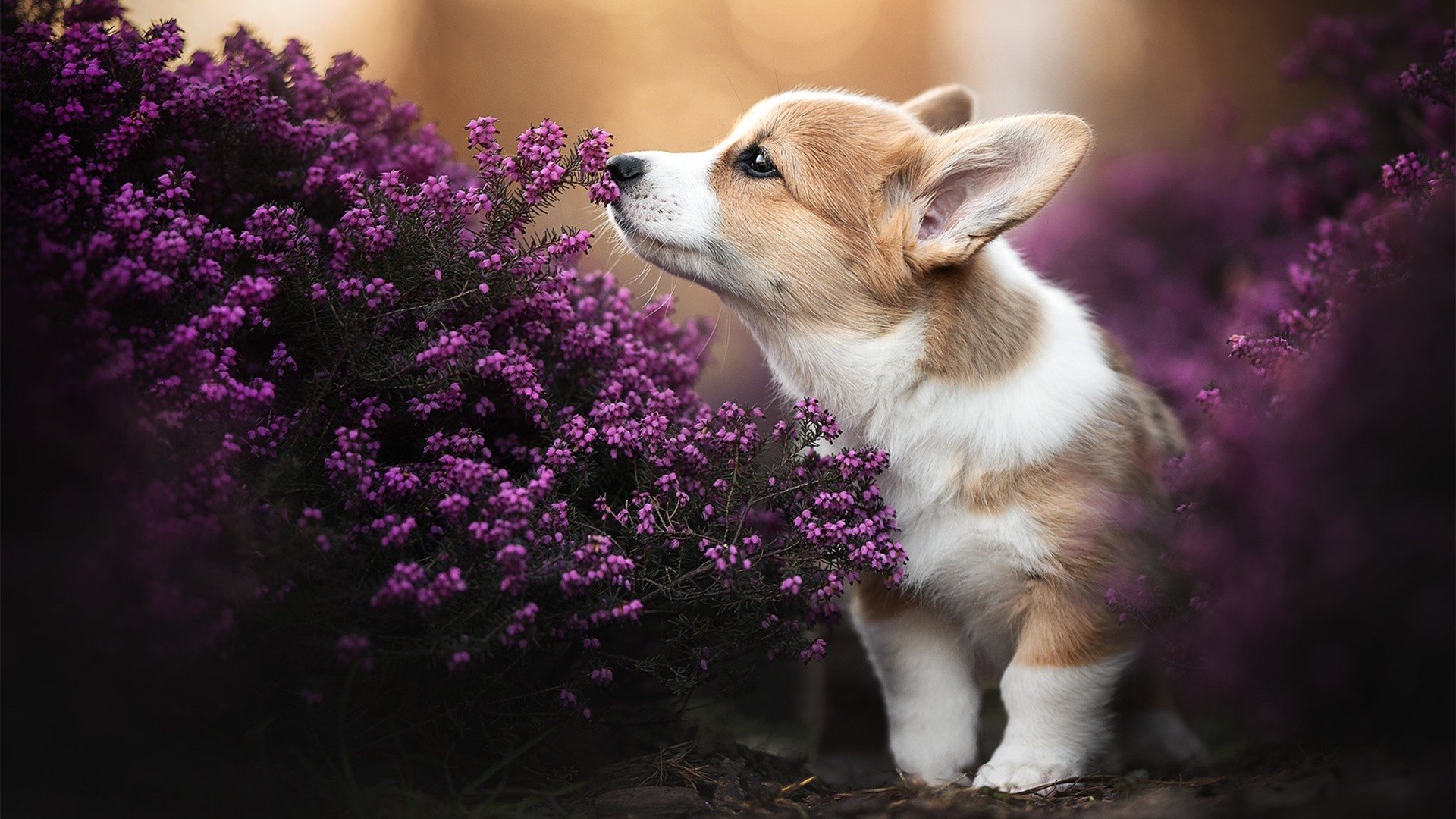 体育课教学质量评估模型构建与实证分析，体育课堂教学质量评价制度