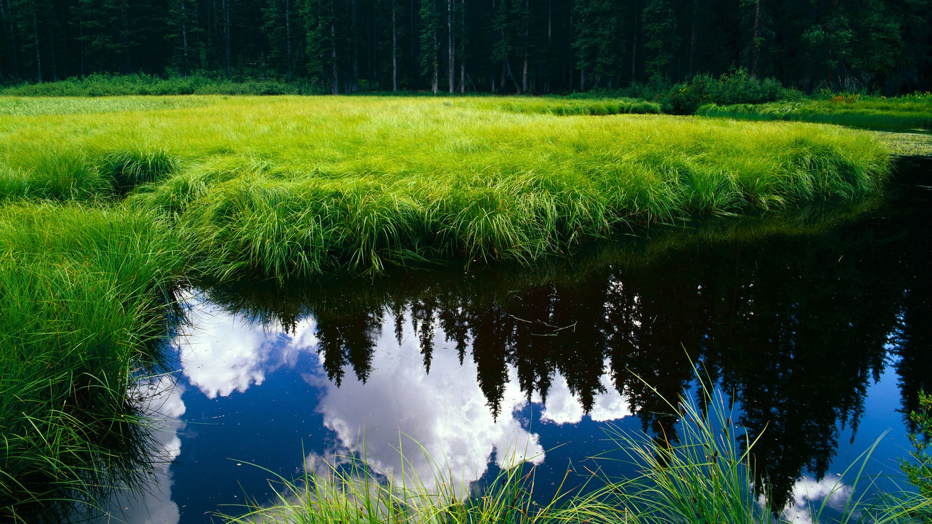 全国青少年五人制足球赛上海队折桂，第22届5人制足球赛