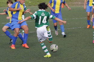 BSPORT APP-英超球队引入神经科学干预提升定位球专注度的实证研究