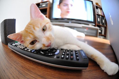 体育新闻中心发布体育新闻传播伦理指导原则,新闻传播伦理规范的主要内容