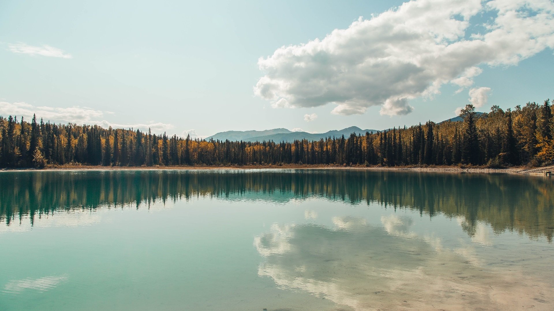 奥运备战团队建设日趋科学，奥运会备战办公室是什么单位