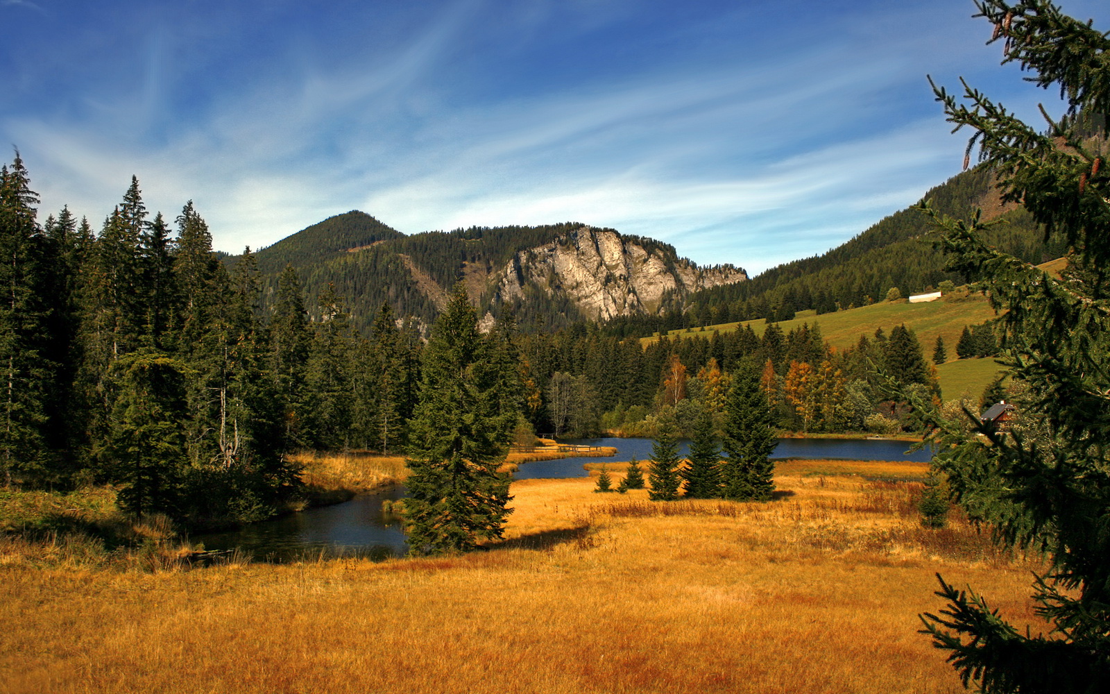 突尼斯希望反击迅猛,制造威胁,突尼斯是啥意思