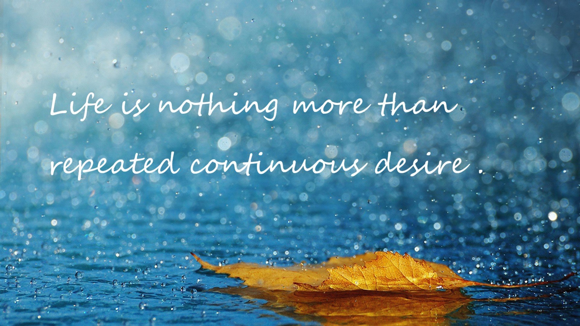 罗马尼亚队赛制分析:团体赛中的配合默契与技术选择,罗马尼亚赛程500