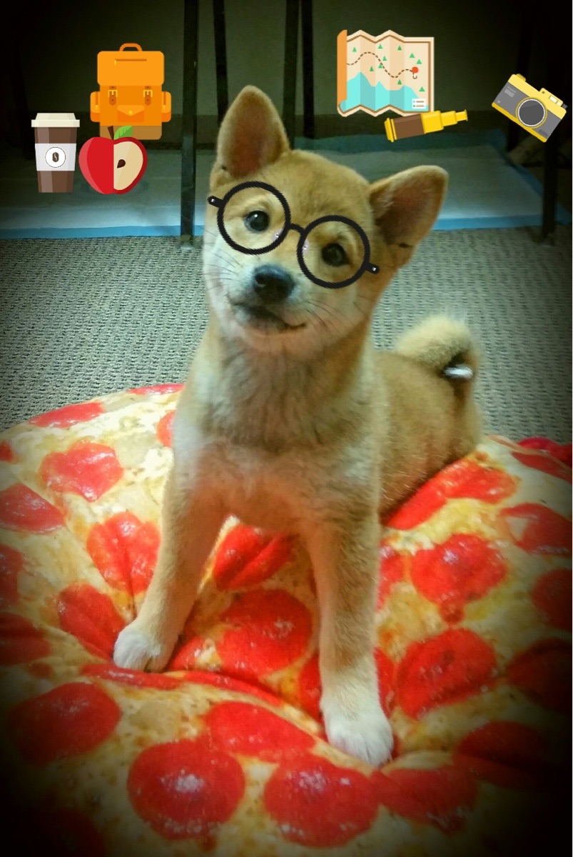 B体育-朱婷谈职业生涯高光时刻眼含热泪，朱婷个人经历