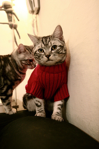 b体育入口-艾比·德尔福：关键的防守时刻，成为南非队稳定防线的重要人物