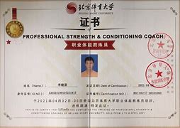 B体育官网:中国篮球教练员培训体系完善,提升执教能力的简单介绍 B体育官网:中国篮球教练员培训体系完善,提升执教能力的简单介绍